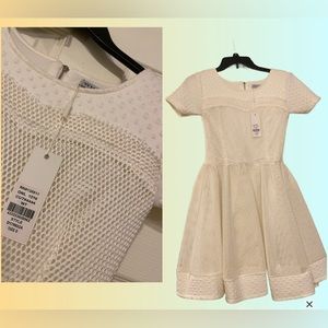 WHY dress beautiful net detail and scuba hem